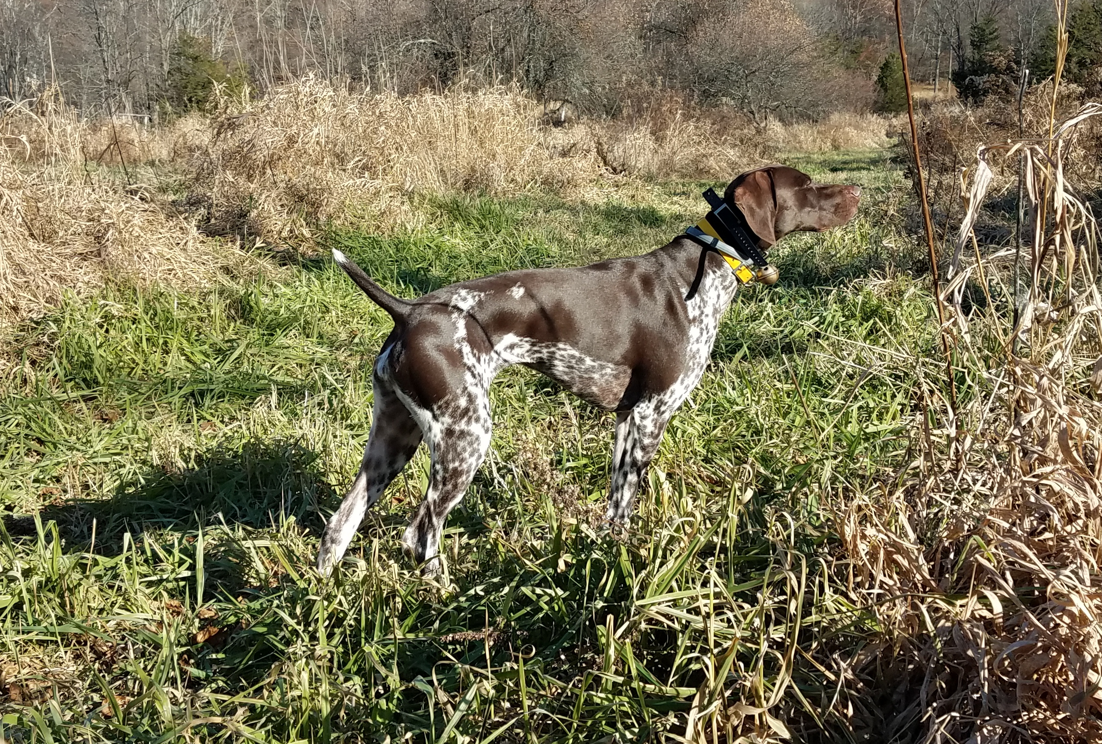 belle first tower shoot